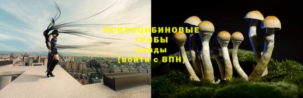 PSILOCYBIN Богданович