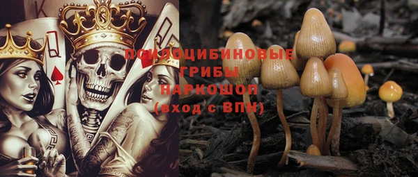 ALPHA-PVP Богородицк