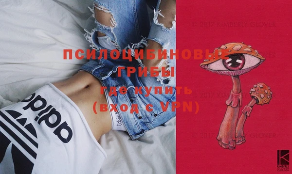 МДМА Бородино