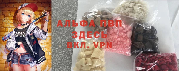 PSILOCYBIN Богданович