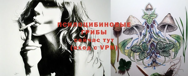 PSILOCYBIN Богданович
